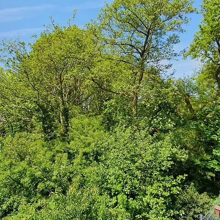 Apartment 4 Sterne Ferien Martens